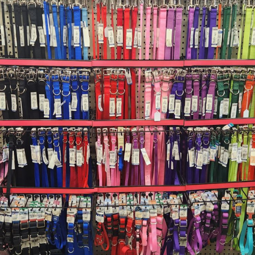 AfFORDable Pet Center leashes