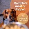 Canidae All Life Stages Wet Dog Food, Chicken, Lamb and Fish (13-oz, case of 12)
