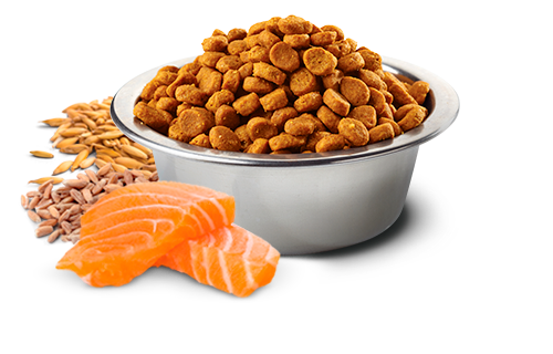 Farmina N&D Tropical Selection Canine Salmon, Spelt, oats and Tropical Fruits Adult Medium & Maxi (4.4 Lb)