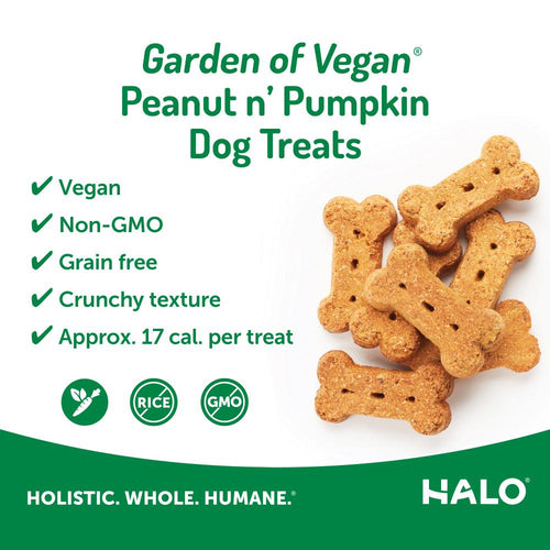 Halo Healthsome Vegan With Peanut 'n Pumpkin Flavored Dog Treats