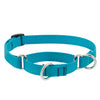 Lupine Pet Basic Solids Martingale Collars for Training