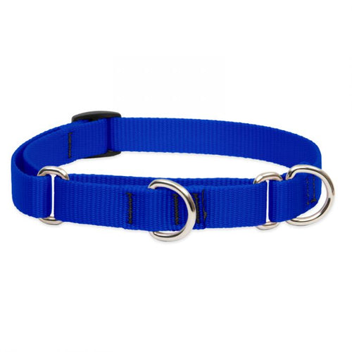 Lupine Pet Basic Solids Martingale Training Collar (1 Width 19-27 Blue)