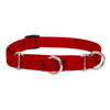 Lupine Pet Basic Solids Martingale Collars for Training