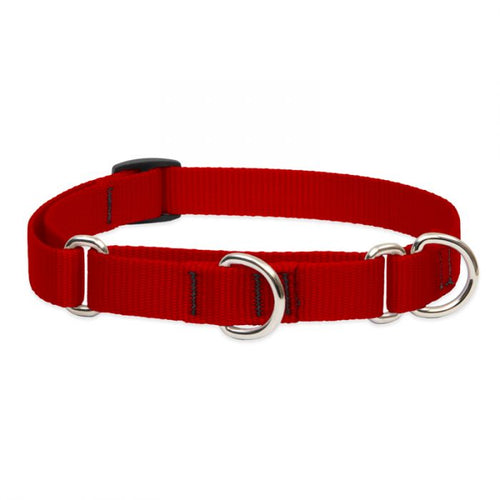 Lupine Pet Basic Solids Martingale Collars for Training