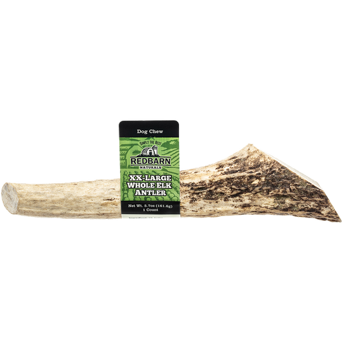 Redbarn Large Whole Elk Antler