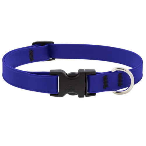 Lupine Pet Splash Waterproof Dog Collar