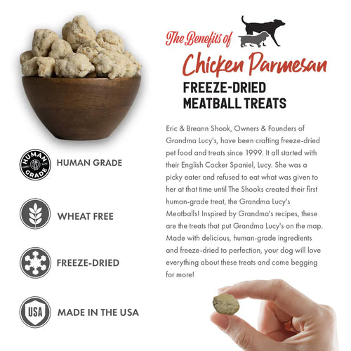 Grandma Lucy's Freeze-Dried Meatballs Chicken Parmesan Dog Treats