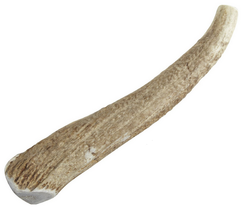 Happy Dog of Cape Cod Premium All Natural Whole Elk Antler Dog Chews