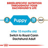 Royal Canin Breed Health Nutrition Dachshund Puppy Dry Dog Food