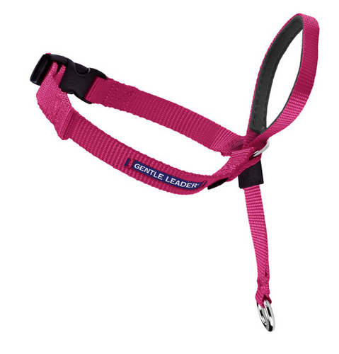 Petsafe Gentle Leader Quick Release Raspberry Headcollar for Dogs