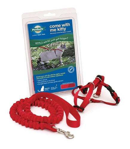 PetSafe Come with Me Kitty Red & Cranberry Harness and Bungee Leash for Cats