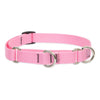 Lupine Pet Basic Solids Martingale Collars for Training