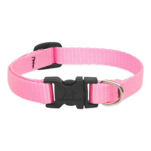 Lupine Pet Basic Solids Dog Collar