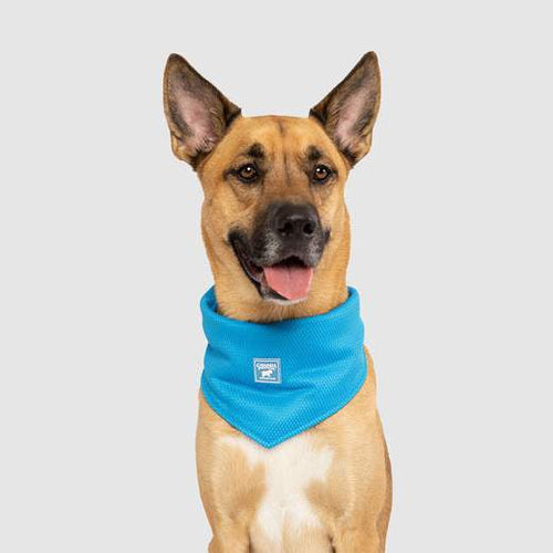 Canada Pooch Chill Seeker Bandana Blue