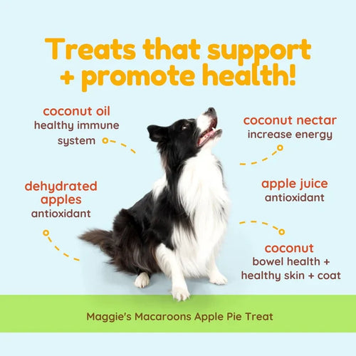 CocoTherapy Maggie's Macaroons Coconut Apple Pie - Organic Coconut Treat for Dogs