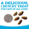 NutriSource® Crunchy Cat Turkey & Chicken Treats