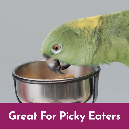 Kaytee® NutriSoft™ Parrot & Conure Food