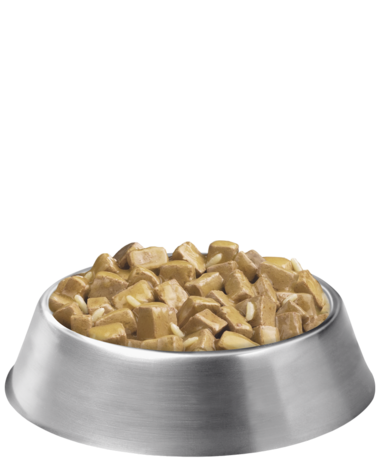 Purina Pro Plan FOCUS Adult Large Breed Chicken & Rice Entrée Chunks In Gravy Wet Dog Food