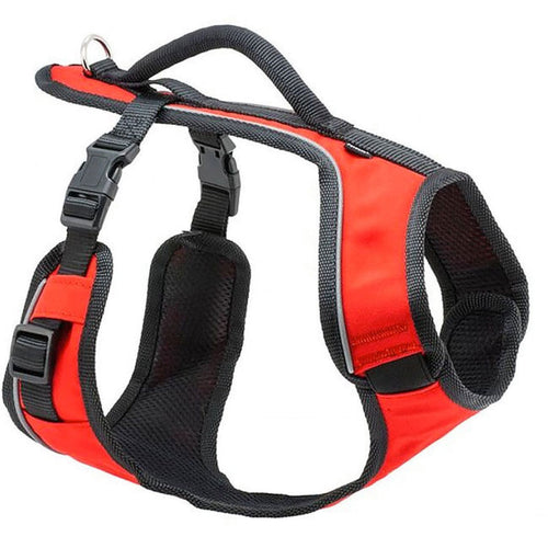 Petsafe EasySport Harness