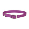 Coastal Single-Ply Dog Collar