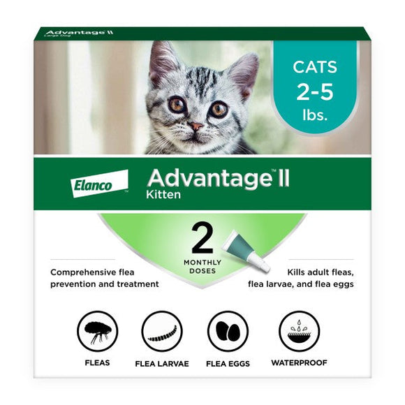 Nupro Health Nuggets for Cats 1 lb Tub Northampton PA AfFORDable Pet Center