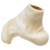 Redbarn Peanut Butter Filled Knuckle Dog Treat