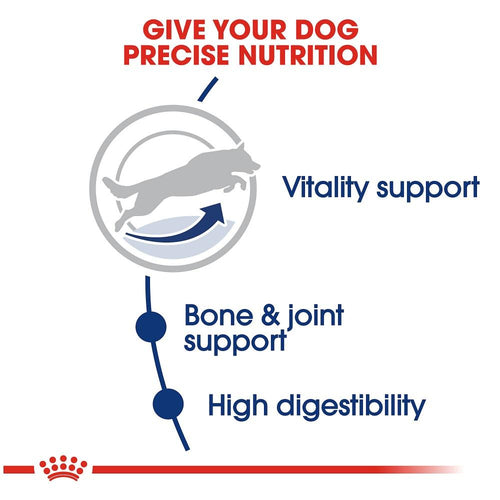 Royal Canin Size Health Nutrition Large Breed Adult 5+ Dry Dog Food