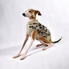 Fashion Pet Cosmo Animal Print Sweater