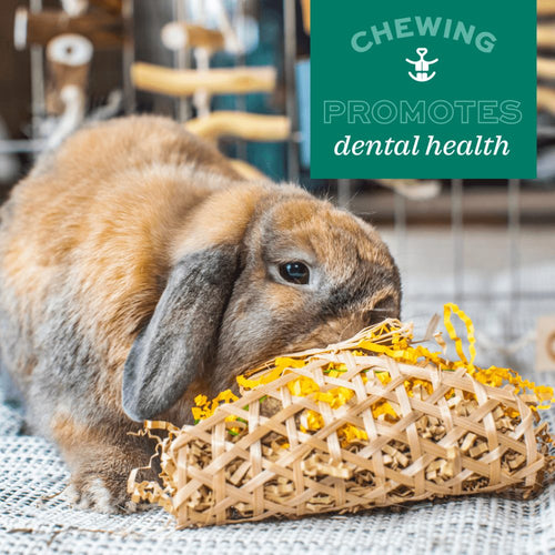Oxbow Enriched Life – Hanging Mulberry Chew