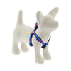 Lupine Pet Original Designs Dog Collar