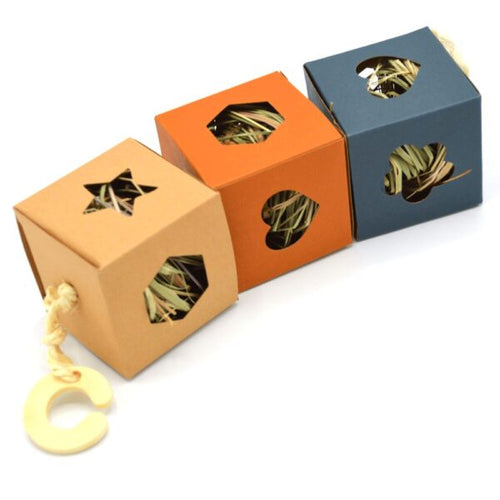 Oxbow Enriched Life – Hide Box Hanger Small Animal Toy