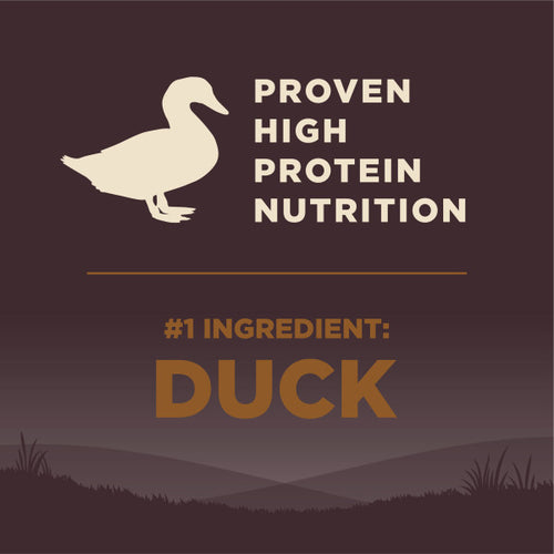 Wellness CORE Grain Free Natural Wild Game Duck, Turkey, Wild Boar and Rabbit Recipe Dry Dog Food