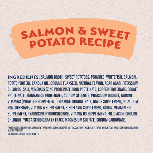 Natural Balance Limited Ingredient Diet Sweet Potato & Salmon Recipe Wet Dog Food