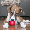 KONG Classic Ball Dog Toy