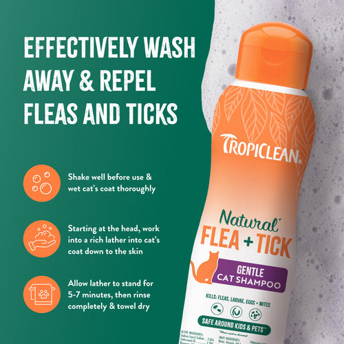 TropiClean Natural Flea + Tick Gentle Cat Shampoo