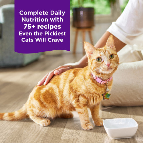 Wellness Complete Health Purrfect Duos Tuna & Cod Wet Cat Food