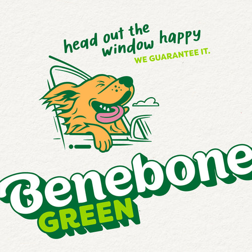 Benebone Green Wishbone Plant-Based Dog Toy for Moderate Chewers