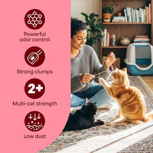 Fresh Step™ Odor Shield Scented Cat Litter