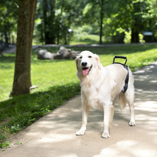 Petsafe CareLift™ Rear Support Harness (Small)