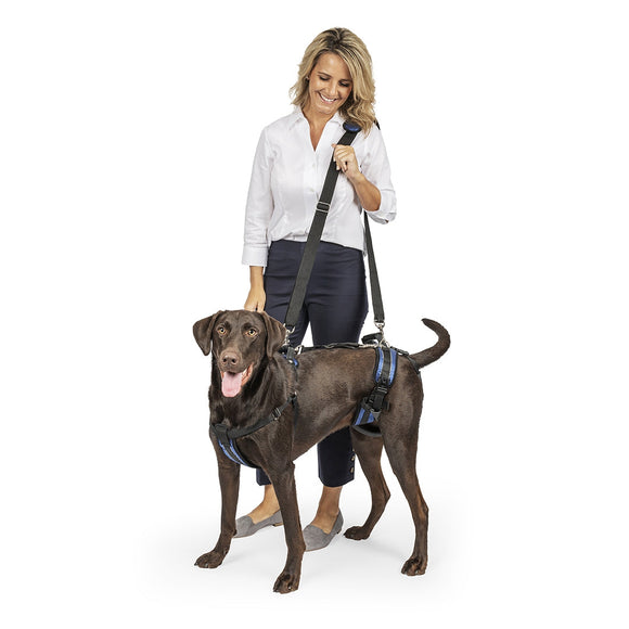Petsafe CareLift™ Support Harness