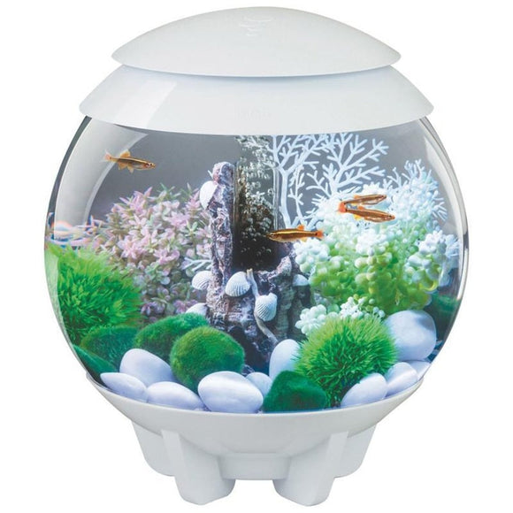 BIORB HALO 15 MCR AQUARIUM (4 GAL/15 LITER)