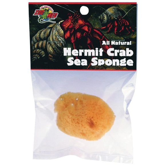 ALL NATURAL HERMIT CRAB SEA SPONGE