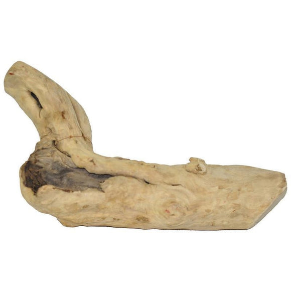 JAVA WOOD REPTILE BRANCH (MEDIUM)