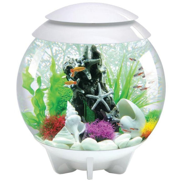 BIORB HALO 30 MCR AQUARIUM (8 GAL/30 LITER)